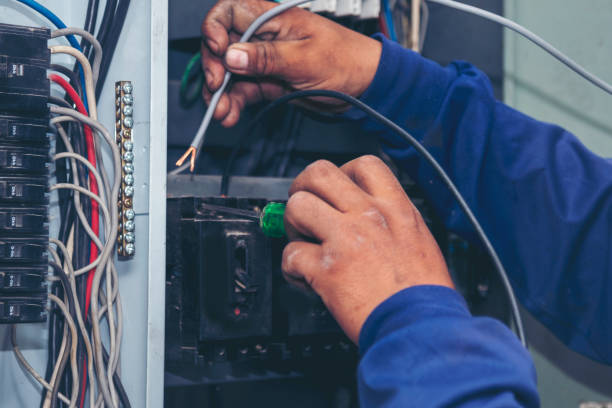 Best Electrical Upgrades for Homes  in Charleston, SC